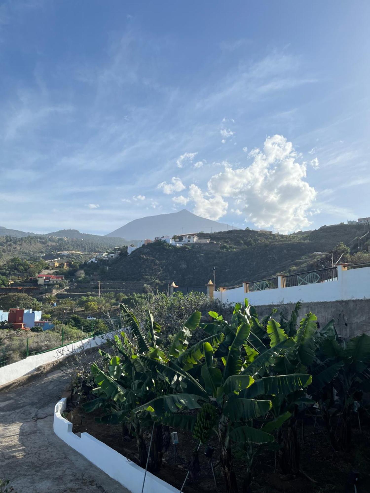 Chicho'S Home La Guancha Εξωτερικό φωτογραφία