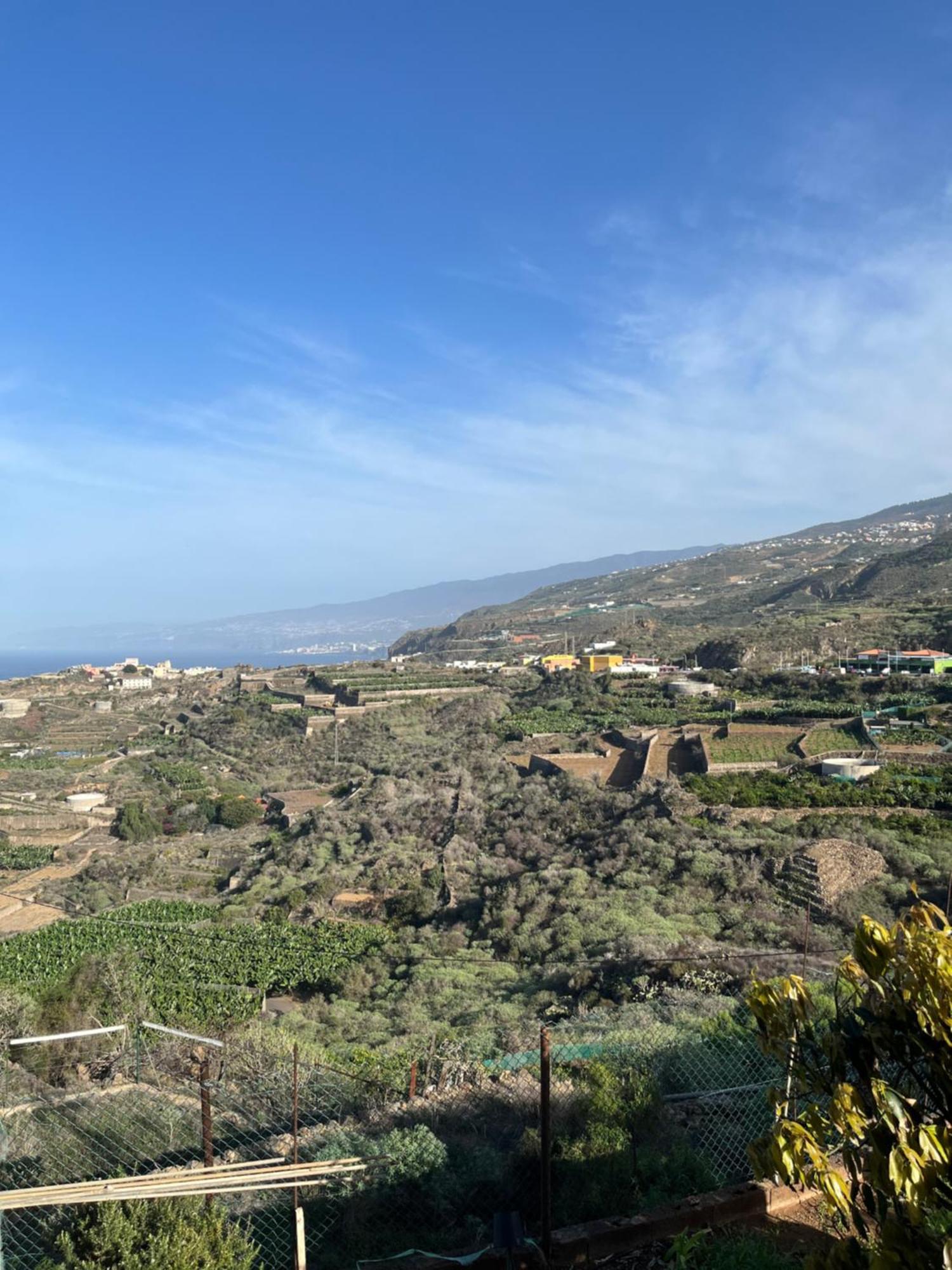 Chicho'S Home La Guancha Εξωτερικό φωτογραφία